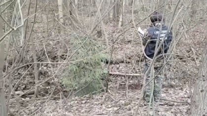 Тело женщины пролежало год в сумке в придорожной канаве (ВИДЕО)