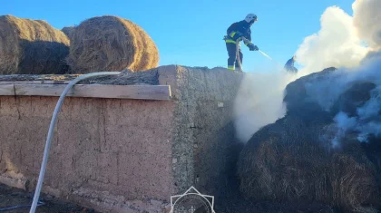 Тонны сена сгорели в Абайской области