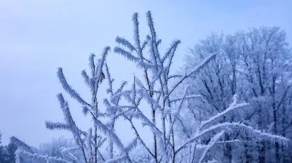 Какая погода ждет казахстанцев 15 декабря