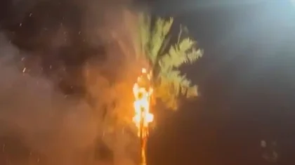 Искусственная пальма загорелась в новогоднюю ночь в Актау (ВИДЕО)