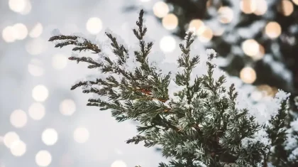 Какая погода ждет казахстанцев 10 февраля