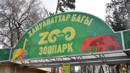Рекорд впервые за 37 лет побил зоопарк в Алматы