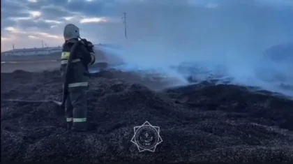 Скопившаяся на поле шелуха снова загорелась в поселке области Абай