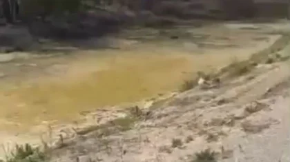 Сточные воды слили близ птицефабрики в Усть-Каменогорске (ВИДЕО)
