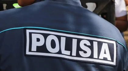 Избившие полицейского братья попали под суд в Акмолинской области