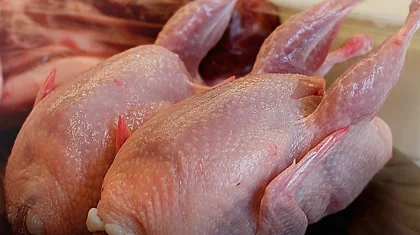 Завод по переработке мяса птицы мощностью 75 тыс тонн строят на юге Казахстана