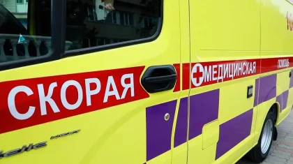 «Помогите пожалуйста»: женщину насмерть проткнуло деревом в Аксу (ВИДЕО)