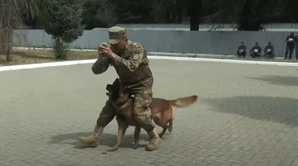 Кинологи с полицейскими собаками соревновались в Алматы