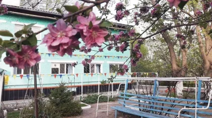Детских домов становится все меньше в Казахстане: за пять лет сеть сократилась на 12%