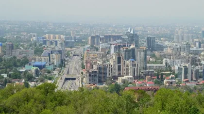 Массовое нашествие клопов в Алматы: что говорят в акимате
