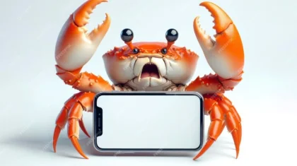 Туристка потеряла iPhone, а краб снял на него влог (ВИДЕО)