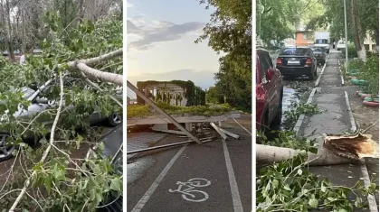 Ураган в Аксу: пострадавшим предложили три варианта восстановления жилья