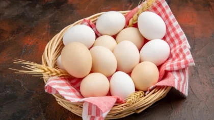 Контроль за незаконным ввозом яиц и транзитом продуктов усилят в Казахстане