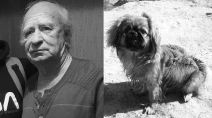 Мертвыми нашли вышедших на прогулку 80-летнего пенсионера и его собаку в Актау