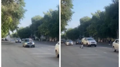 Странное поведение девушки посреди дороги сняли на видео в Павлодаре
