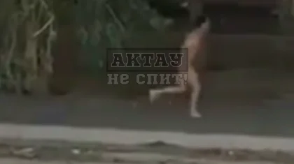 Голый мужчина носился по подъездам в Актау и сбежал (ВИДЕО)