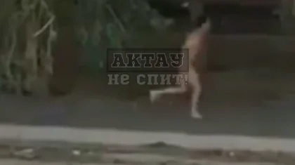 Разгуливавший по Актау голый мужчина получил 5 суток ареста