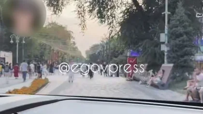 Водитель проехал на машине по алматинскому Арбату и выложил видео в соцсети
