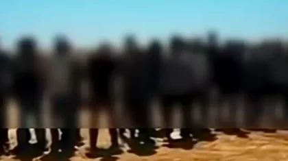 Сотни иностранцев поплатились за сбор ценной травы в Казахстане (ВИДЕО)