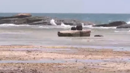 Каспийское море в Казахстане отступило на 18 километров (ВИДЕО)