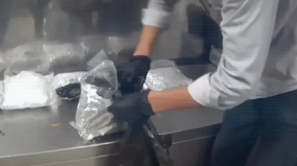 За доставку из Пхукета: 3 кг марихуаны изъяли у пассажира в Алматы (ВИДЕО)