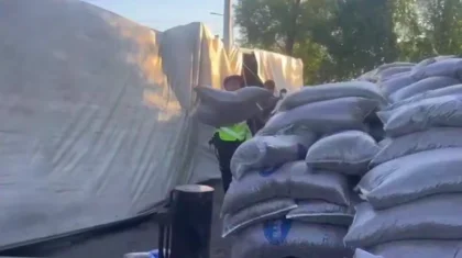 Фура с 35 тоннами семечек опрокинулась на трассе в области Жетысу (ВИДЕО)