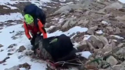 Туриста из Бельгии спасли в горах Заилийского Алатау