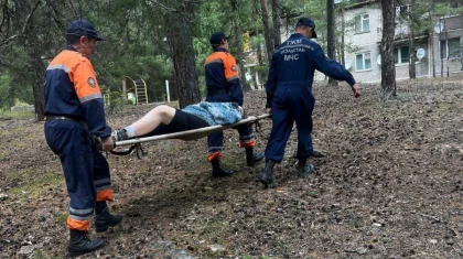 Пошла за грибами: девушку вынесли из леса на носилках карагандинские спасатели