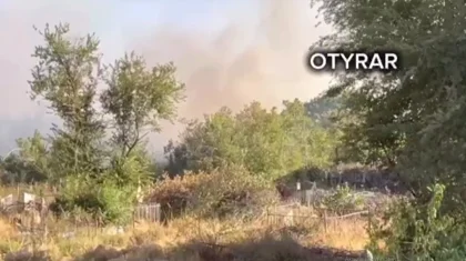 Городское кладбище загорелось в Шымкенте (ВИДЕО)