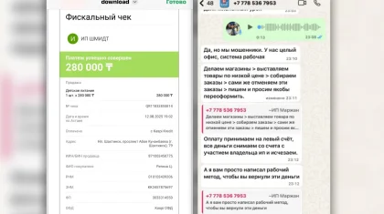«Мы мошенники, у нас целый офис»: казахстанка нарвалась на «честных» аферистов