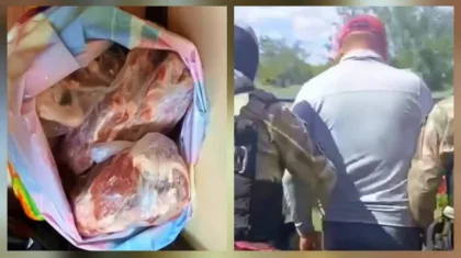 Барымтачи увели 15 овец из загона крестьянского хозяйства в Актюбинской области