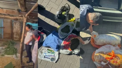 Cвыше 11 тонн наркотиков с начала года изъяли в Казахстане (ВИДЕО)