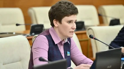 Казахстан займёт нишевое лидерство в цифровизации и развитии ИИ – депутат