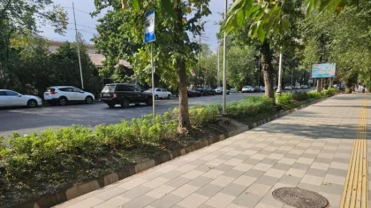 Зеленые буферные зоны появятся на восьми улицах Алматы
