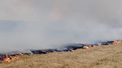 Пожар в заповеднике «Алаколь» локализовали на площади 1000 гектаров