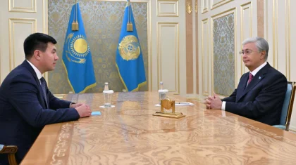 Глава государства принял президента Казахстанской федерации бокса