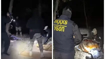 Скотокрадов задержали с поличным при разделке лошади в Актюбинской области (ВИДЕО)