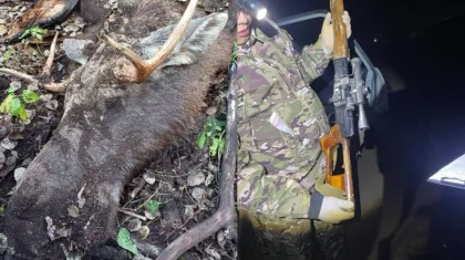 Браконьеров с мясом лося и сайгаков задержали в Карагандинской области