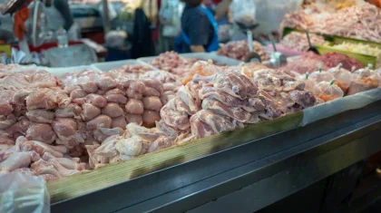 Когда Казахстан полностью обеспечит себя мясом птицы, рассказал министр