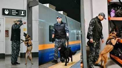 «Не лают, а показывают»: собаки помогли транспортным полицейским изъять 150 кг наркотиков