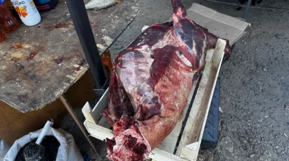 Мясо сайгака появилось на прилавках в Атырау