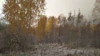 В Казахстане ожидаются заморозки и снег: прогноз погоды на 3 октября