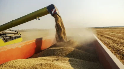 Хлебоприемные предприятия уличили в дискриминации казахстанских аграриев