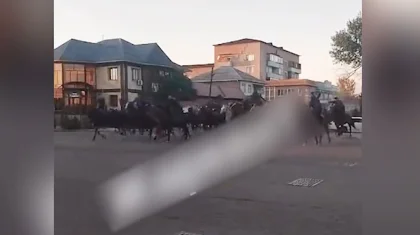 Всадники устроили массовый забег по улицам Жаркента (ВИДЕО)