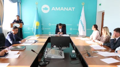 Проблема бездомных животных в Петропавловске: «AMANAT» требует системных мер