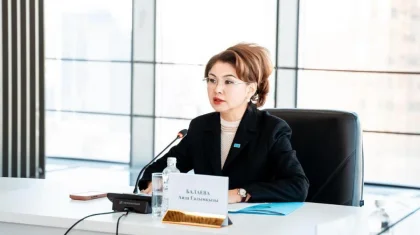 Аида Балаева обсудила с представителями НПО направления дальнейшего сотрудничества