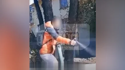 Самокатчик распылил перцовку в лицо водителю во время ссоры в Алматы (ВИДЕО)