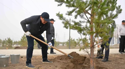 Более 15 тысяч жителей Абайской области приняли участие в экологической акции