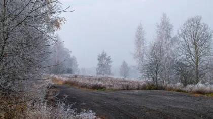 Гололед и туман: штормовое предупреждение объявили в Казахстане на 13 октября