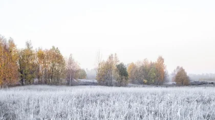 Прогноз погоды по Казахстану на 13 октября